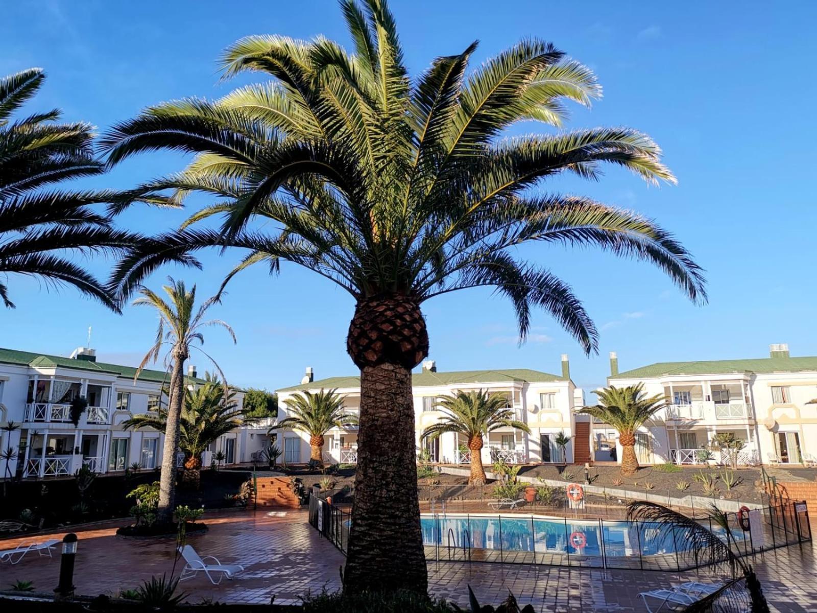 Piccola Oasi Corralejo Quarto foto